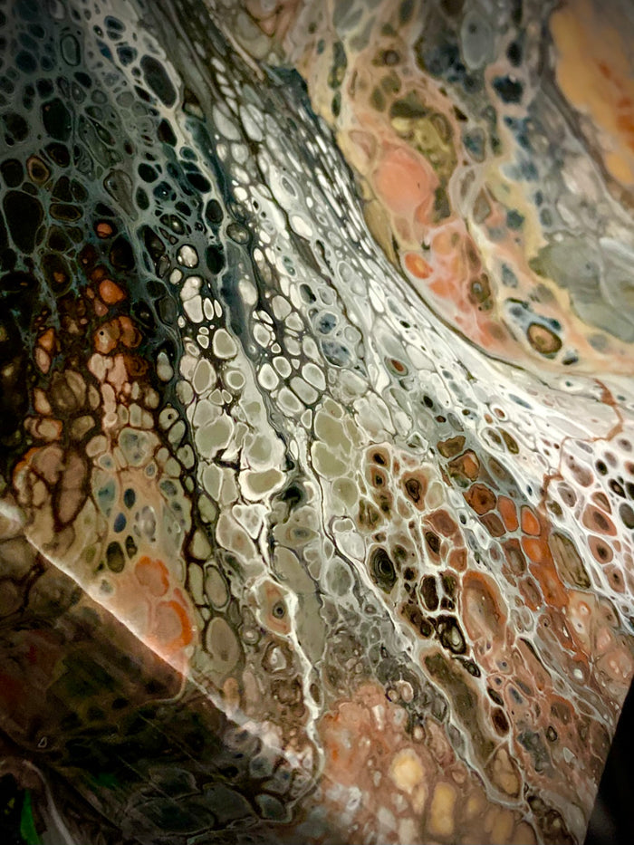 Orb Weavers Web